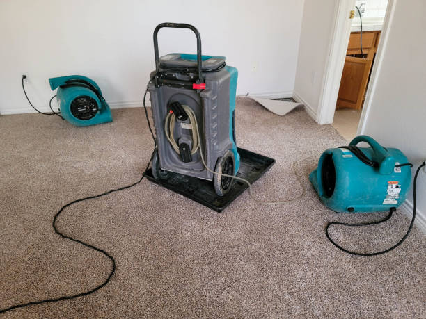 Best Commercial water damage restoration  in Norwood, NC