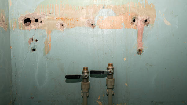 Best Residential water damage restoration  in Norwood, NC