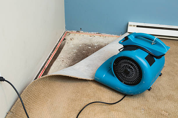 Best Flood damage cleanup  in Norwood, NC